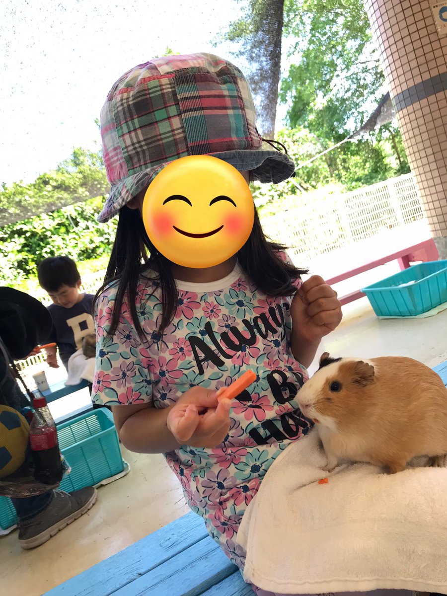 _jasmine_212's tweet photo. 麻溝公園🌲
ポニーとモルモットのふれあい体験❤️
　#麻溝公園 https://t.co/4NcW9vrJBm