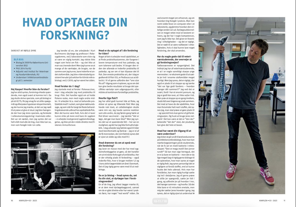 Kasper RV (@kasper_rv) on Twitter photo I was lucky enough to be included in the latest Vet-student newsletter. Thanks to "Kanylen" for addressing the fishy side of life! Give it a read! Features additional interviews with aquaculture vets, as well as local students and teachers.
epaper.dk/jtoas/kanylen/…
<a href="/UCPH_health/">UCPH Healthscience</a> I was lucky enough to be included in the latest Vet-student newsletter. Thanks to "Kanylen" for addressing the fishy side of life! Give it a read! Features additional interviews with aquaculture vets, as well as local students and teachers.
epaper.dk/jtoas/kanylen/…
<a href="/UCPH_health/">UCPH Healthscience</a>