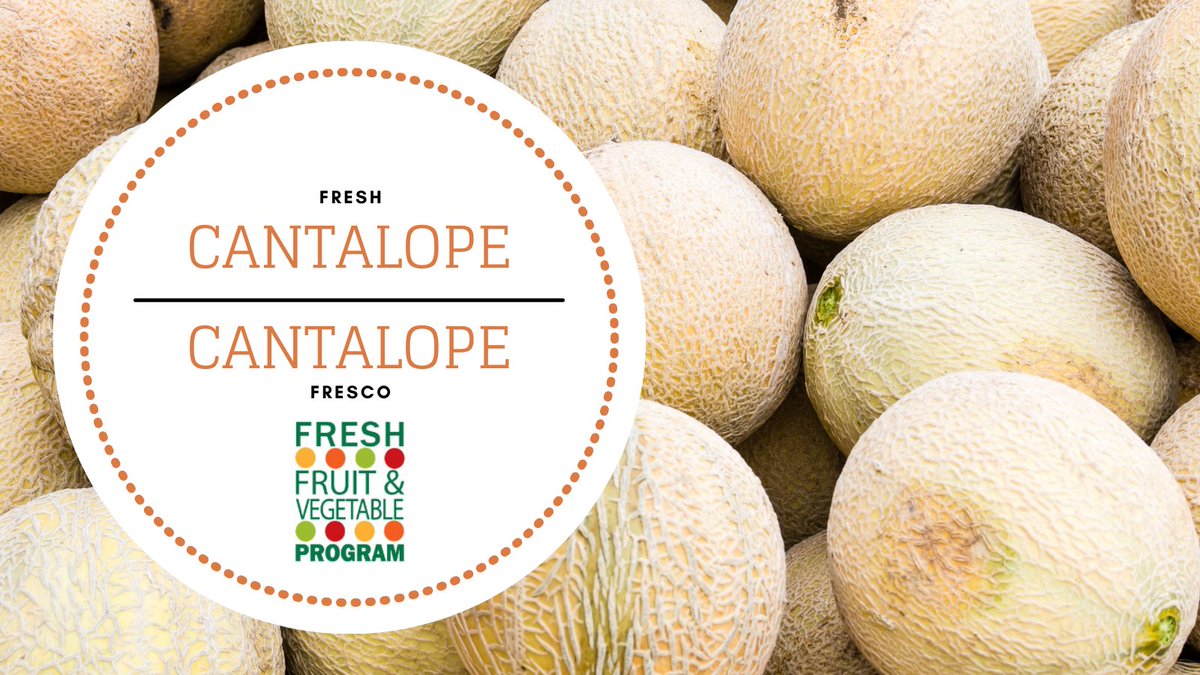 sodexopvd's tweet photo. Today we have cantalope cups for the #FFVP!
The fruit known as cantaloupe in the United States is actually muskmelon. In some parts of the world like Australia, cantaloupes are known as “rockmelons.”
@pvdschools @ElementaryZone @RISNPEd @sodexoUSA https://t.co/r2kmN7Xt7Q