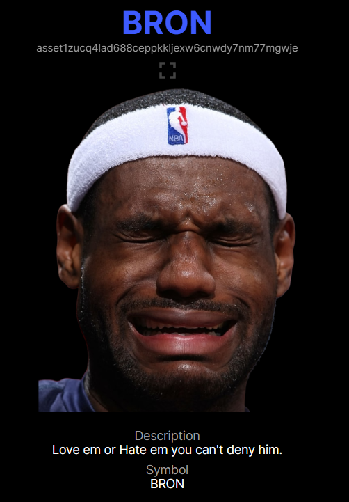 1985SvO's tweet image. Look what got dropped in my wallet 👀 @BronTokenADA