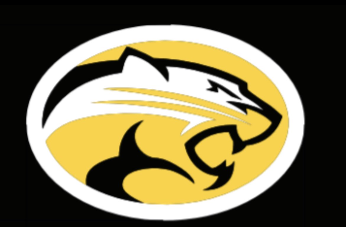 AES TIGERS PE tweet media