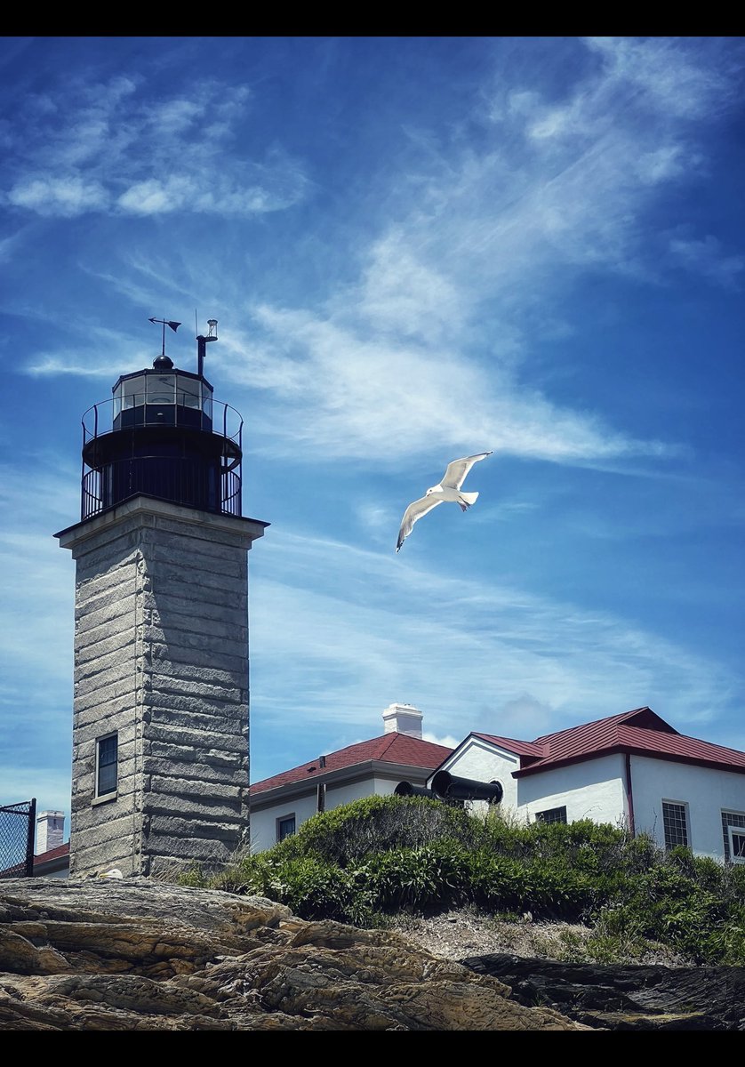 CaptBilboTweets's tweet photo. @StormHour #Flight #BeavertailLighthouse #RhodeIsland #StormHour #POTM https://t.co/2HtK0cqNGy