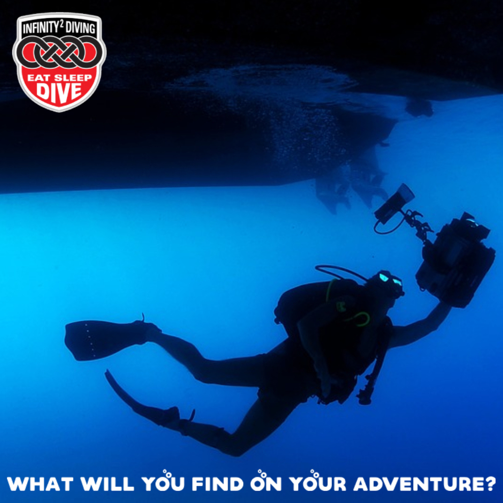 Dive o'clock PRO tweet media