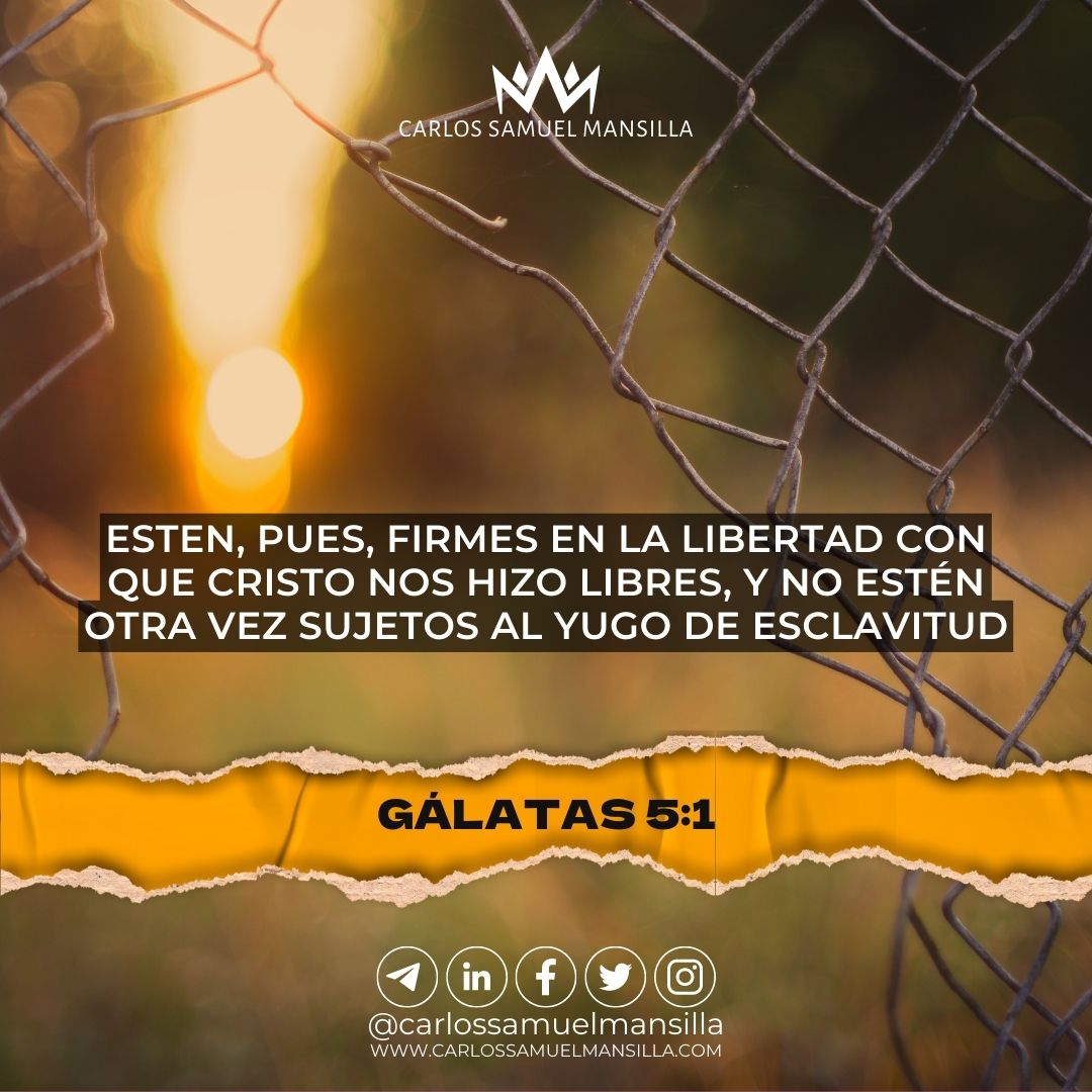 ✝️🔥✝️ ¡SOMOS LIBRES!✝️🔥✝️
#DiosEsFiel
~
🏷 #FelizMartesATodos #FelizMartes #BuenMartes #SomosIglesia #DiosTeAma #PalabraDeDios