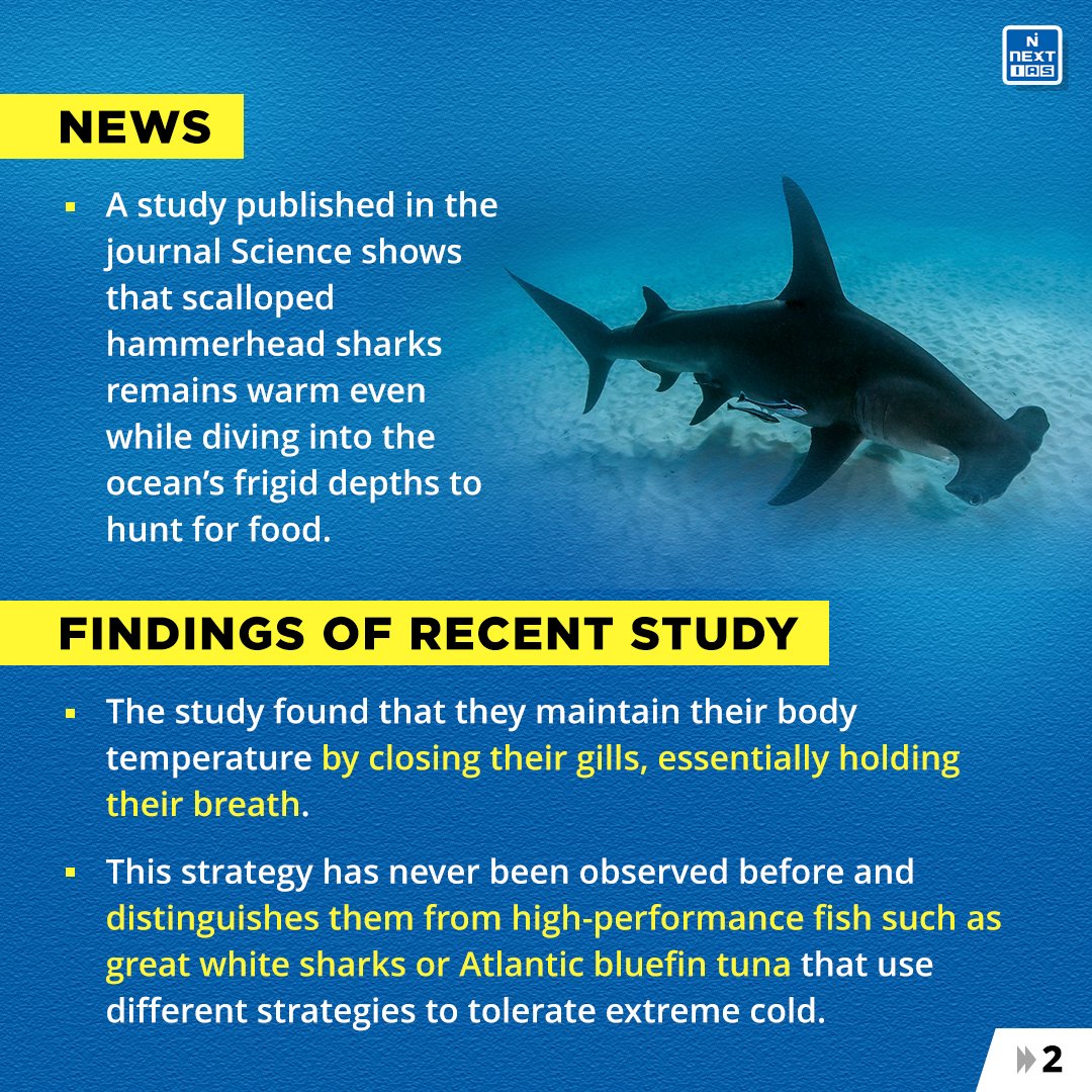 NEXTIAS_Delhi's tweet photo. 𝐃𝐚𝐢𝐥𝐲 𝐈𝐧𝐟𝐨𝐠𝐫𝐚𝐩𝐡𝐢𝐜𝐬 (16-05-2023)
𝐓𝐨𝐩𝐢𝐜: What are Hammerhead Sharks?
For more infographics: https://t.co/i4DwhmbGAv
#infographics #nextias #ias #India #May2023 #May16 #hammerheadsharks #scalloped #findings #recentstudy #strategy #tolerate #extremecold https://t.co/4dZCCs8pDQ