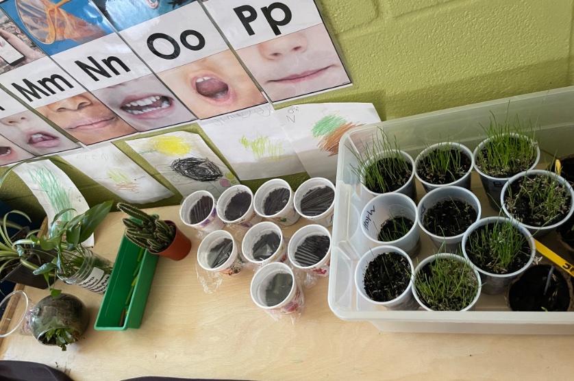 When your students aren’t the only thing blossoming and growing in your classroom!❤️
#lkdsb