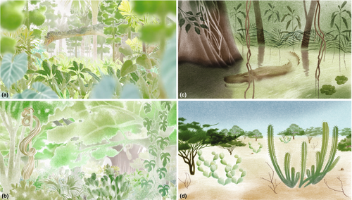 Alistair Hetherington tweet media