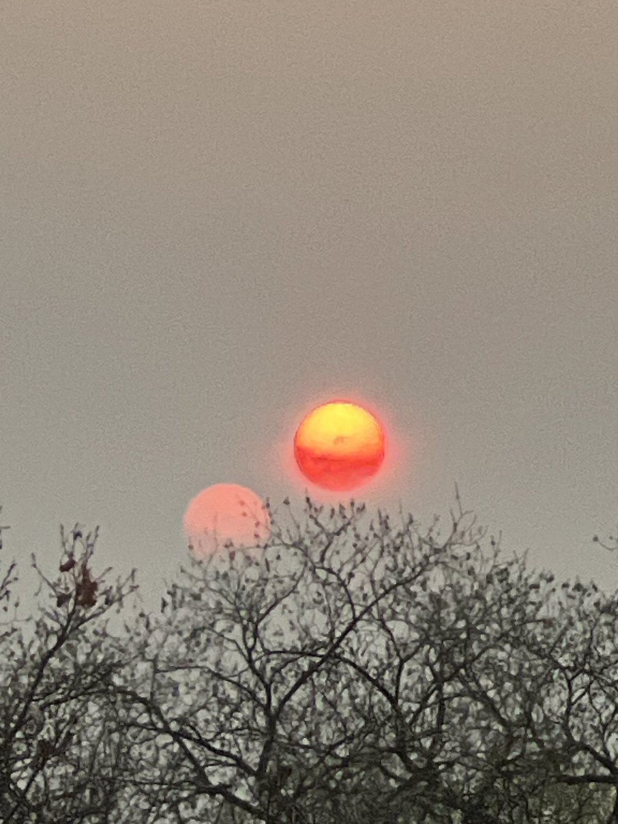 Zeisu17's tweet photo. Sunrise in the Smokey Sky https://t.co/feXbwq2CNV