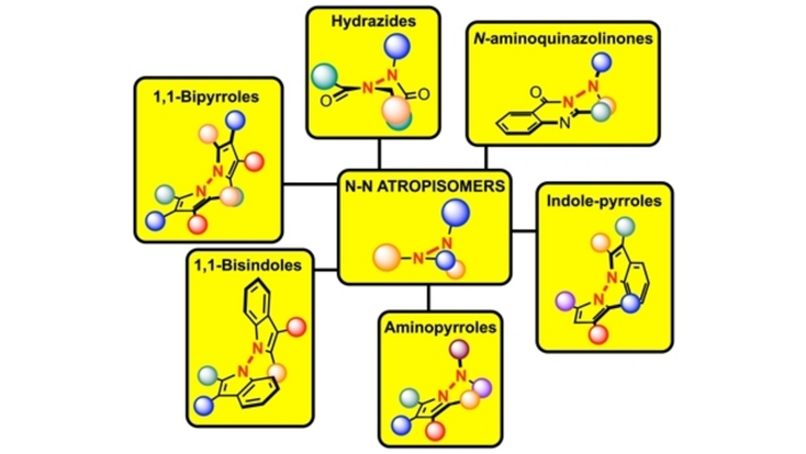 angew_chem's tweet photo. Enantioselective Strategies for The Synthesis of N-N Atropisomers (Giorgio Bencivenni and co-workers) @LabSynthesis #AngewandteReview #openaccess https://t.co/TZN8uz19oQ https://t.co/VVefAdcZuM