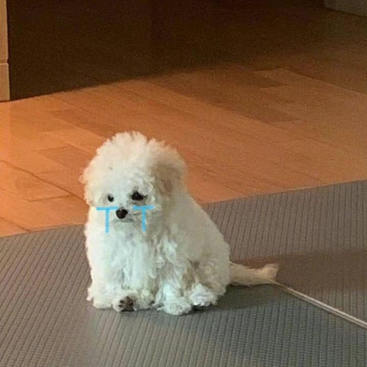 N1NGGVVL_'s tweet photo. @VVLMILL หนิงม่ะมี หนิงมองทุกคนหนีไปมีแฟนมิล😭😭😭😭 https://t.co/oFQ2AkqKgd