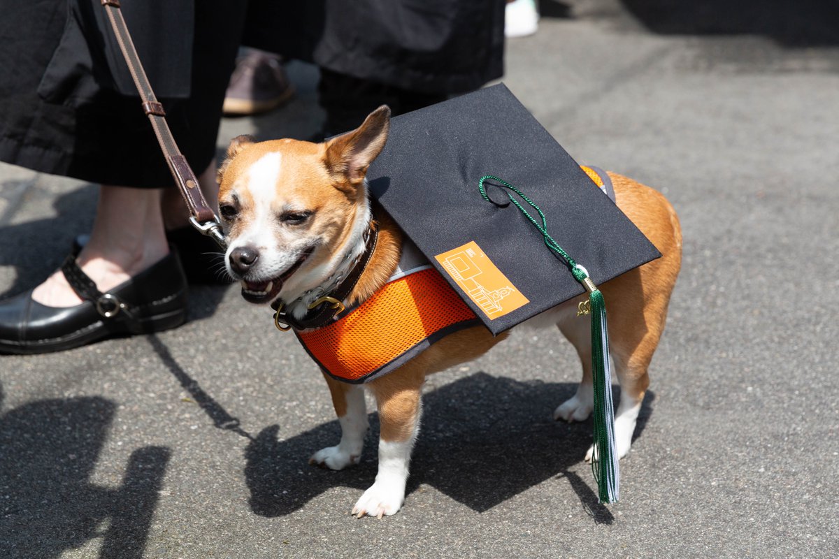 Happy #Lesley2023 Commencement Week!

We are thrilled to celebrate our graduates this Saturday, May 20th, at the Leader Bank Pavillon in Boston’s Seaport District. 💚🎉☀️

Check out details here: lesley.edu/students/comme…