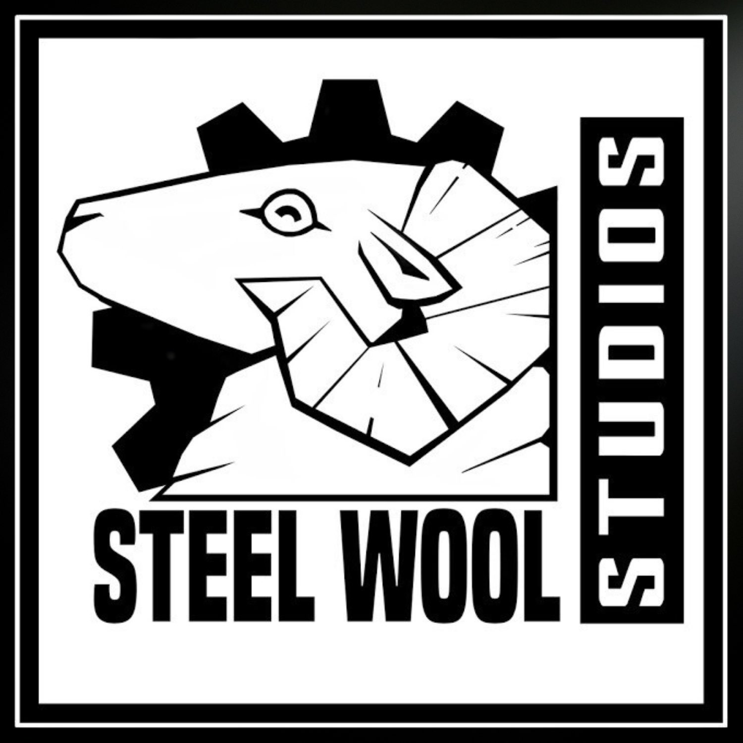 Steel Wool Studios 