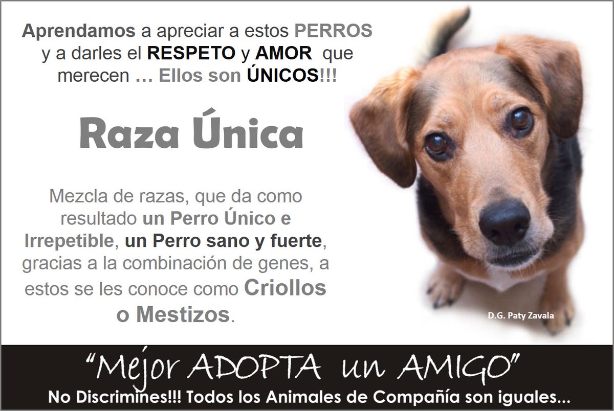 NO Discrimines Por su Color Por su raza Por alguna Limitación Física Porque ya es Viejito muchos y muchas están a la ESPERA DE UN HOGAR UNA FAMILIA que los Cuiden y los Amen Dales una Oportunidad de Vida 🐱🐶❤#AyudaUnCallejerito
#AdoptaYCambiaUnaVida
#NoAlMaltratoAnimal
#Mexico