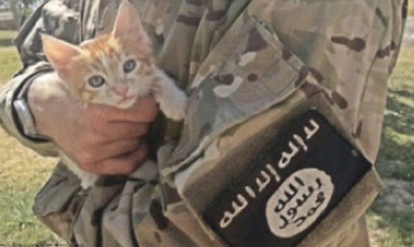 سنخوض مياواتنا معهم