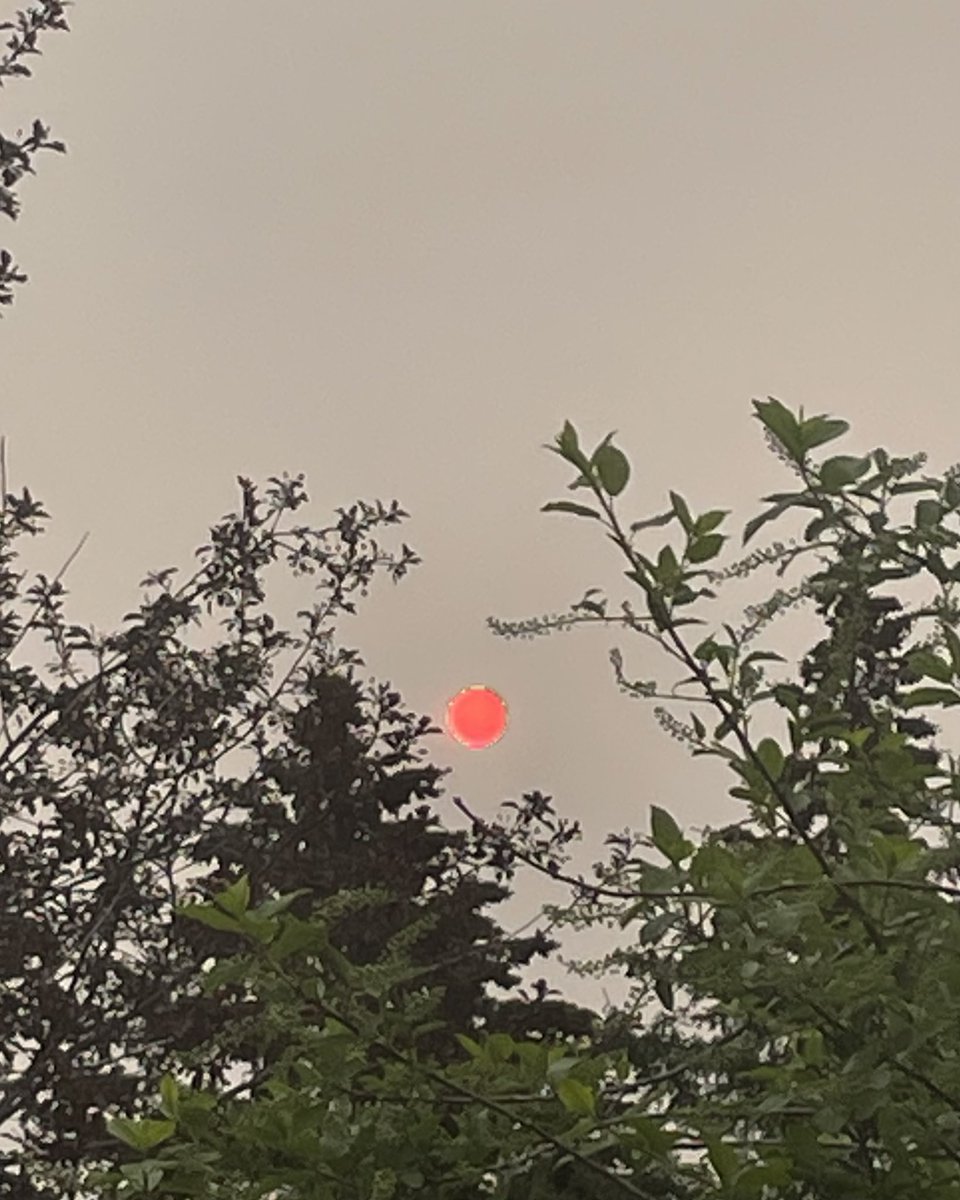 Neon pink sun here this morning. #forestfire