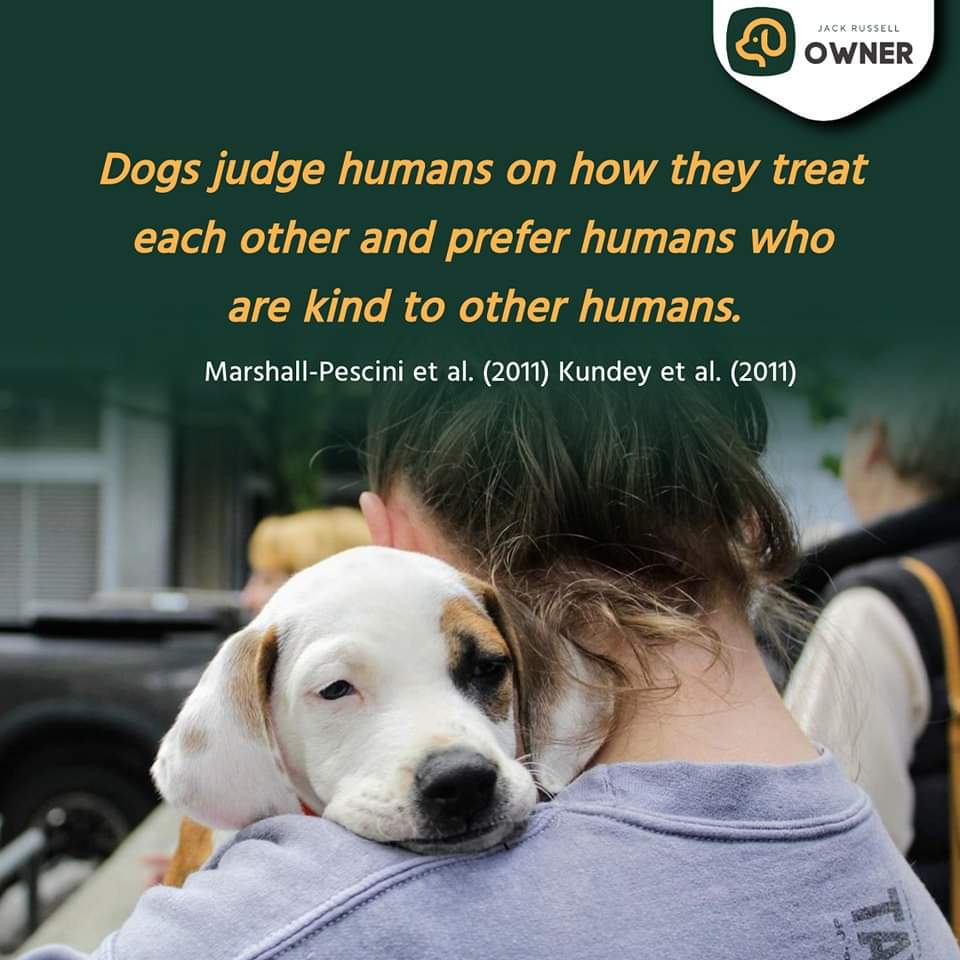 VoiceForDogsOrg's tweet image. Dogs judge better. They read people well.
#smartdog #DogLover #Dogsarefamily #voicefordogs