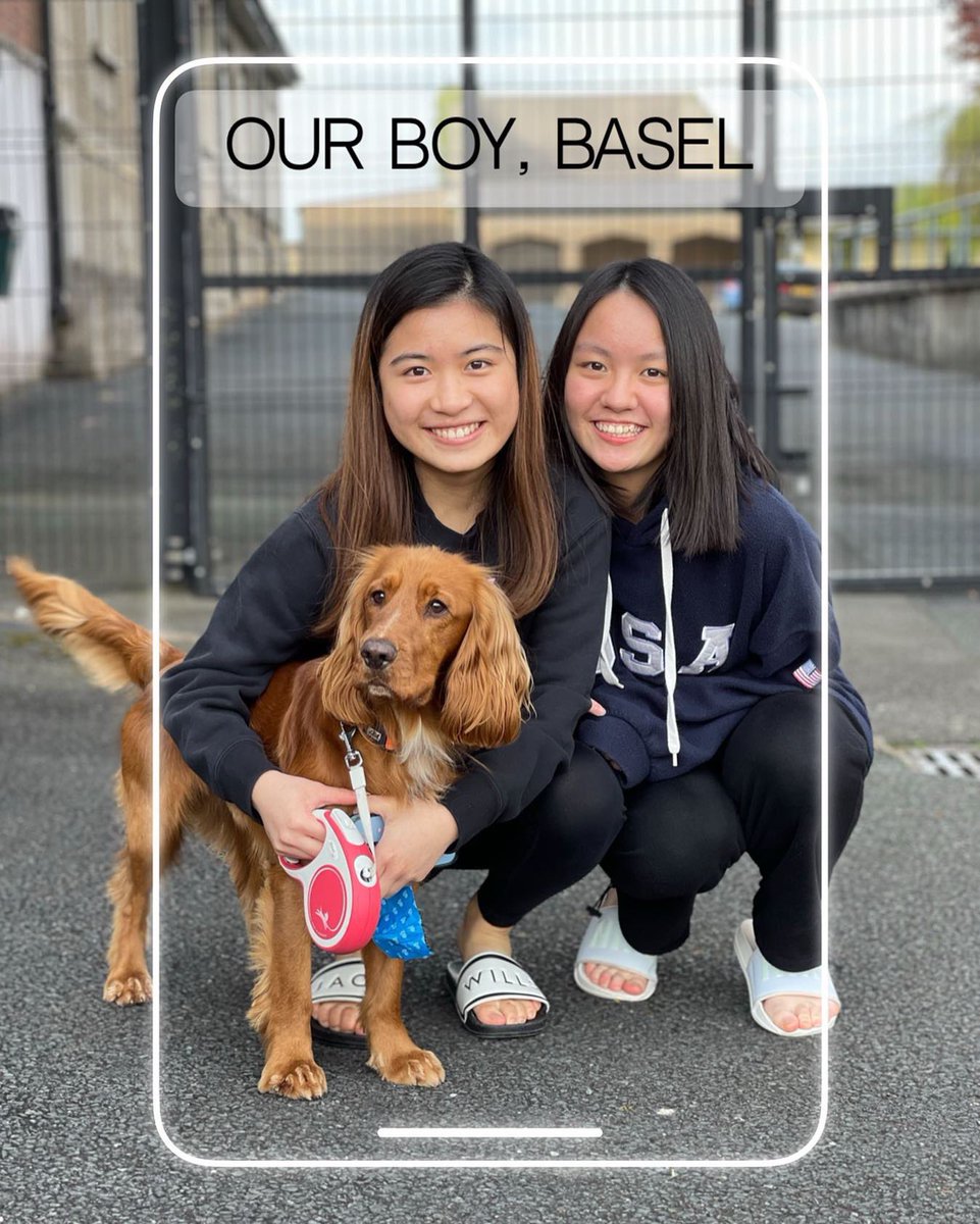 RsdBoarding's tweet photo. 𝗠𝗲𝗻𝘁𝗮𝗹 𝗛𝗲𝗮𝗹𝘁𝗵 𝗔𝘄𝗮𝗿𝗲𝗻𝗲𝘀𝘀 𝗪𝗲𝗲𝗸 💕🤎 

During Mental Health Awareness Week, we encourage everyone to get outside, enjoy the fresh air and wonderful nature we are surrounded by and gain some exercise. 

#iloveboarding #rsd #mentalhealthawareness #boardingdog https://t.co/zLjDfLu29T