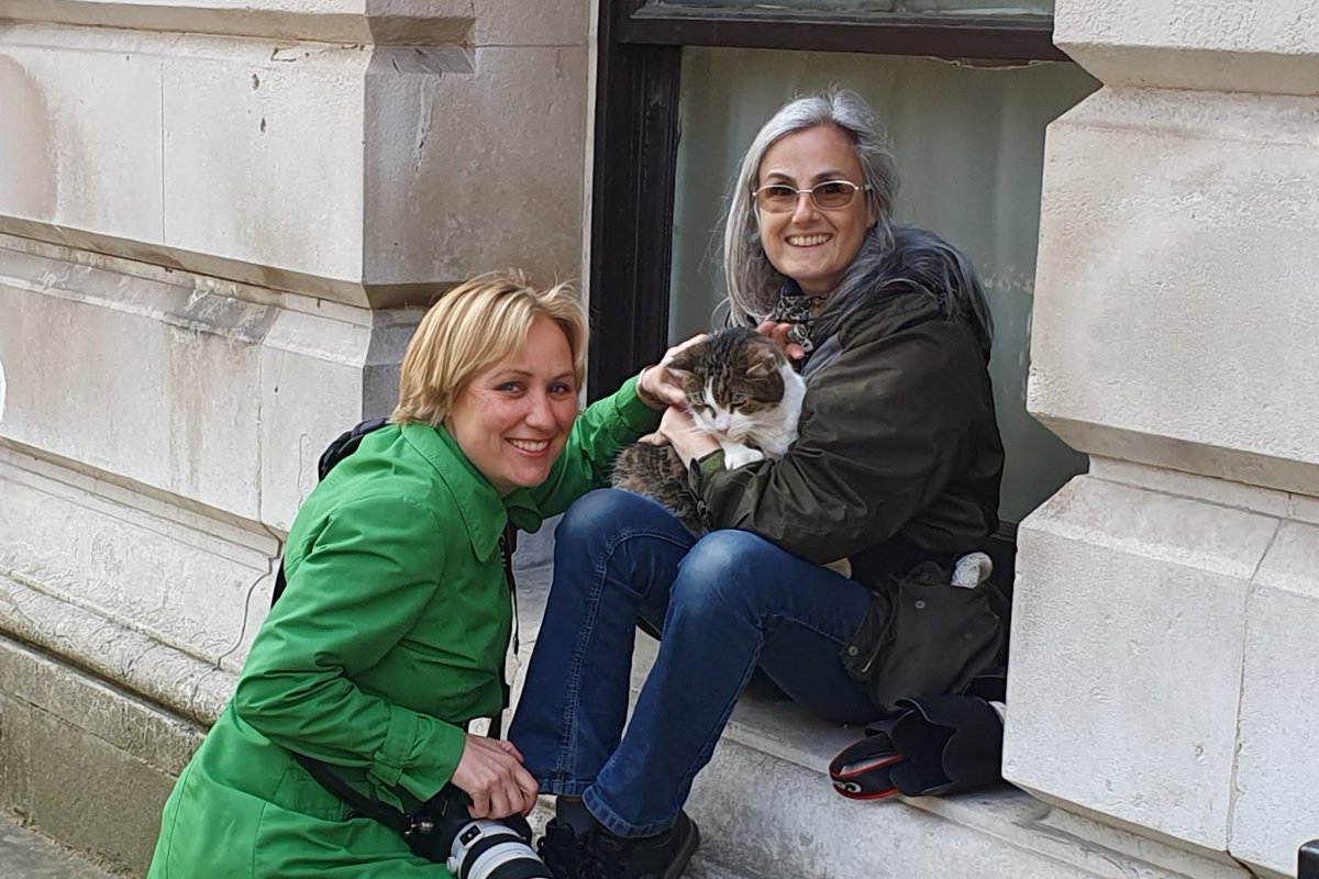 Number10cat tweet picture