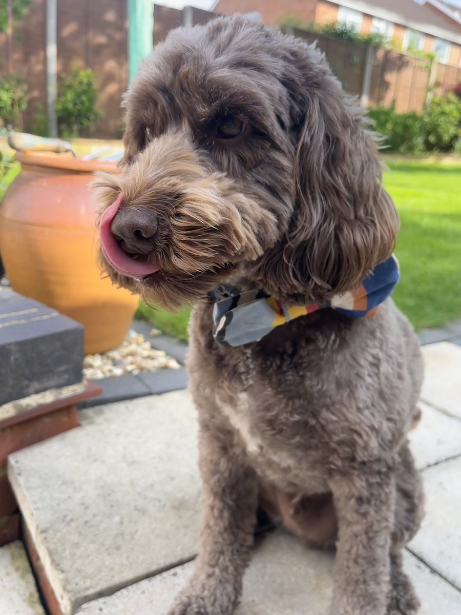 Can’t believe it pals, it’s my third birthday!!