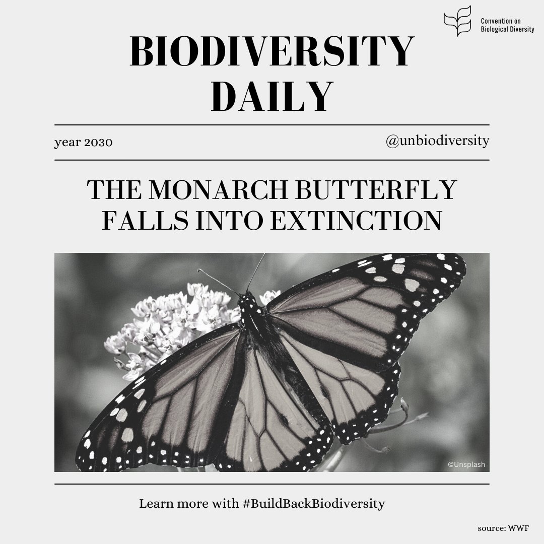These headlines will soon be in the news if we don't #BuildBackBiodiversity ‼️

...But this doesn't have to be a reality.

Learn about the 23 targets &amp; 4 goals we need to achieve before to preserve #biodiversity

➡️cbd.int/gbf/