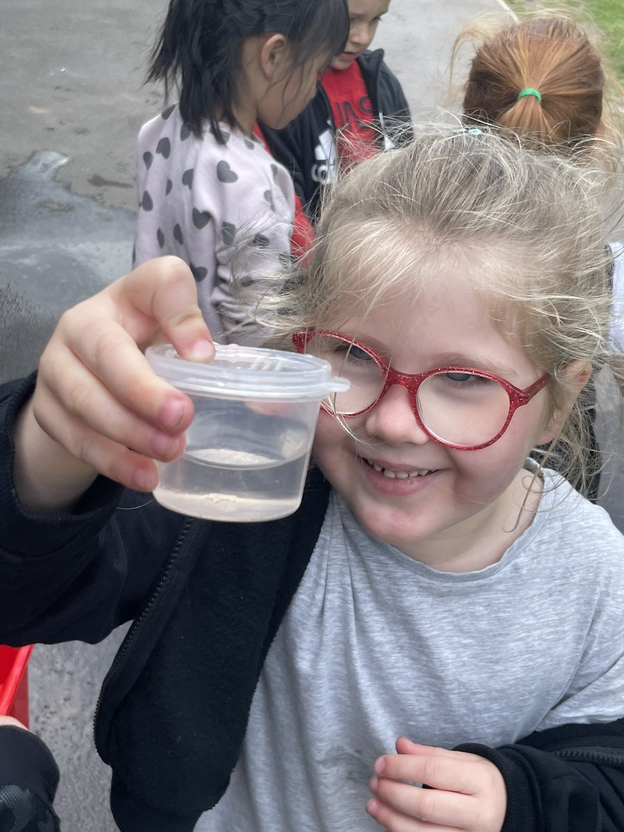 Y1 HighStPrimary tweet media