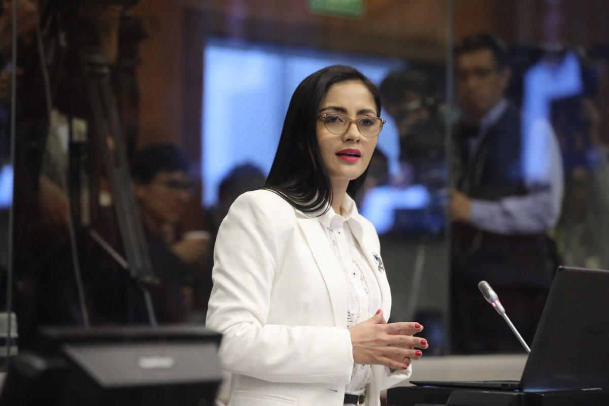 Casa Legislativa de Chimborazo tweet media