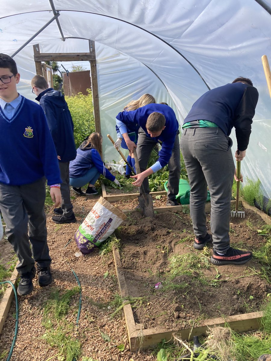 Ms S Caherly tweet media