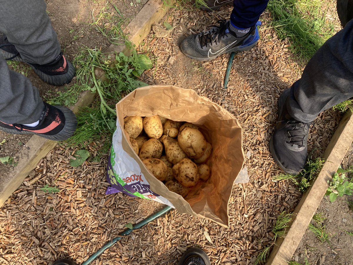 Ms S Caherly tweet media