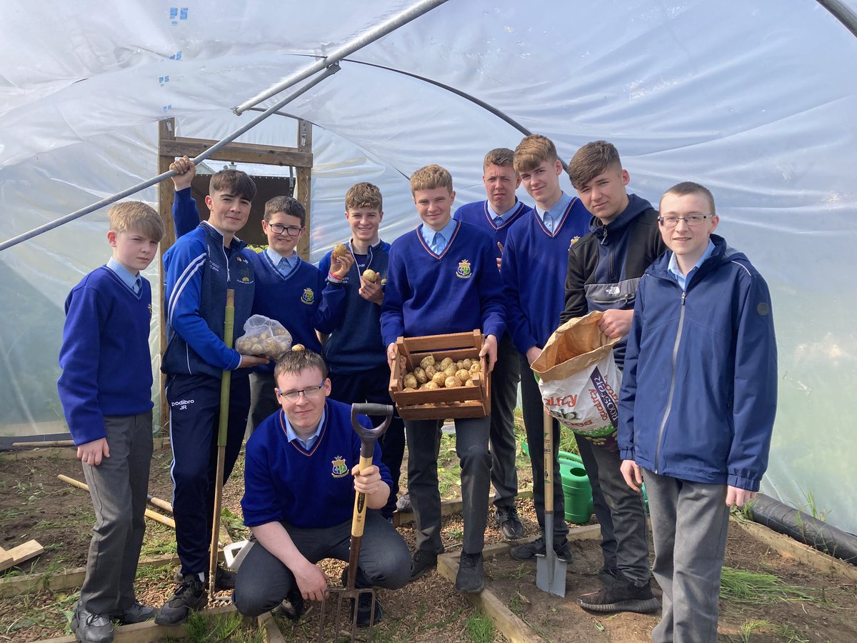 Ms S Caherly tweet media