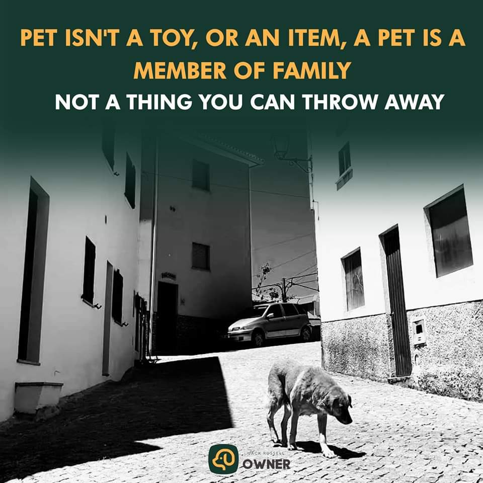 VoiceForDogsOrg's tweet image. Dogs have feelings too. Treat your dog with respect.
#doglivesmatter #voicefordogs #voiceforthevoiceless #dogslover