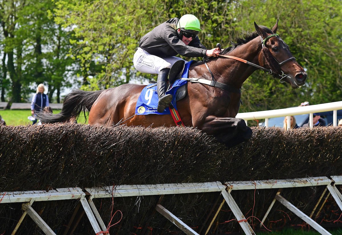 Irish QR Association tweet media