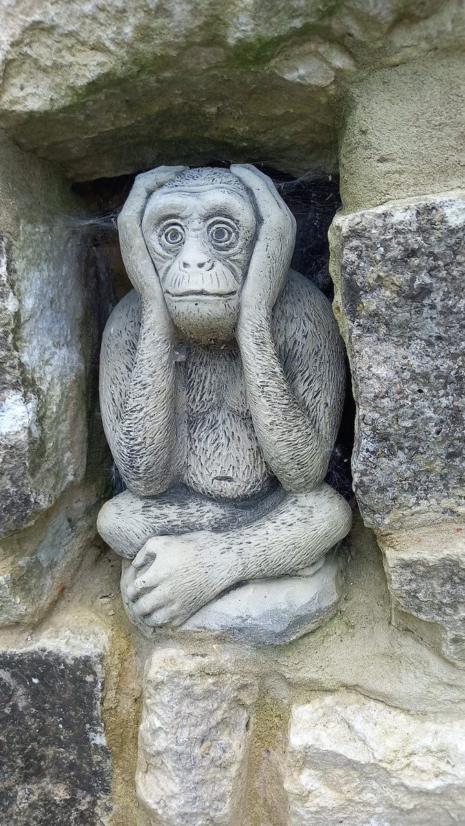 Rachel Goodfellow tweet media