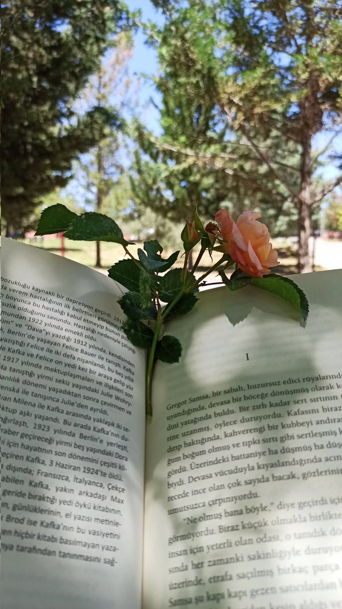 MalgazYonca's tweet photo. #kafka #dönüşüm https://t.co/NXmBzFlQKZ