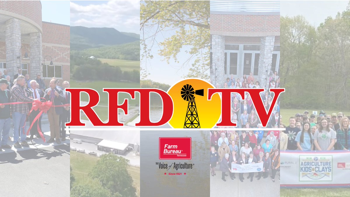 Check out our show on @OfficialRFDTV today at 4:00PM (CST)! 📽

Highlights:
➡ @TNStateFair Made in Tennessee building
➡ @UTIAg 's dairy unit at ETREC
➡ Feature on the Mississippi River
➡ Farm Bureau Women's state conference
➡ Agriculture, Kids & Clays

#TNFarmBureau I #RFDTV