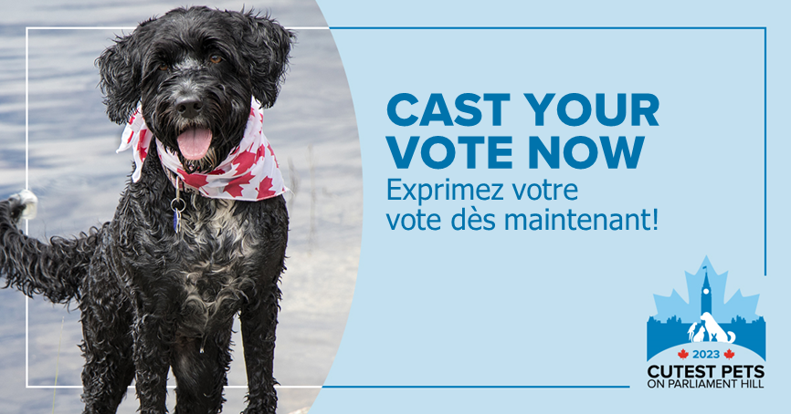 We are excited to open voting for our inaugural Cutest Pet on Parliament Hill contest! Celebrate pets and vote for your favourite Dog, Cat and Other Pet on Parliament Hill. Cast your vote!  cahi-icsa.ca/cutest-pets-pa…

____

Nous sommes heureux d’annoncer le début de la période de
