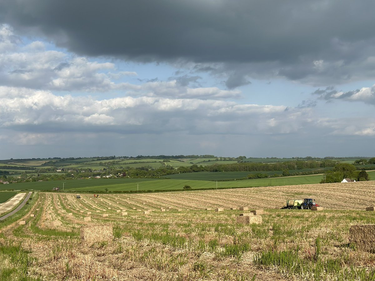 farmerThomo's tweet image. #spring23 in one picture 😬🌦️🌦️