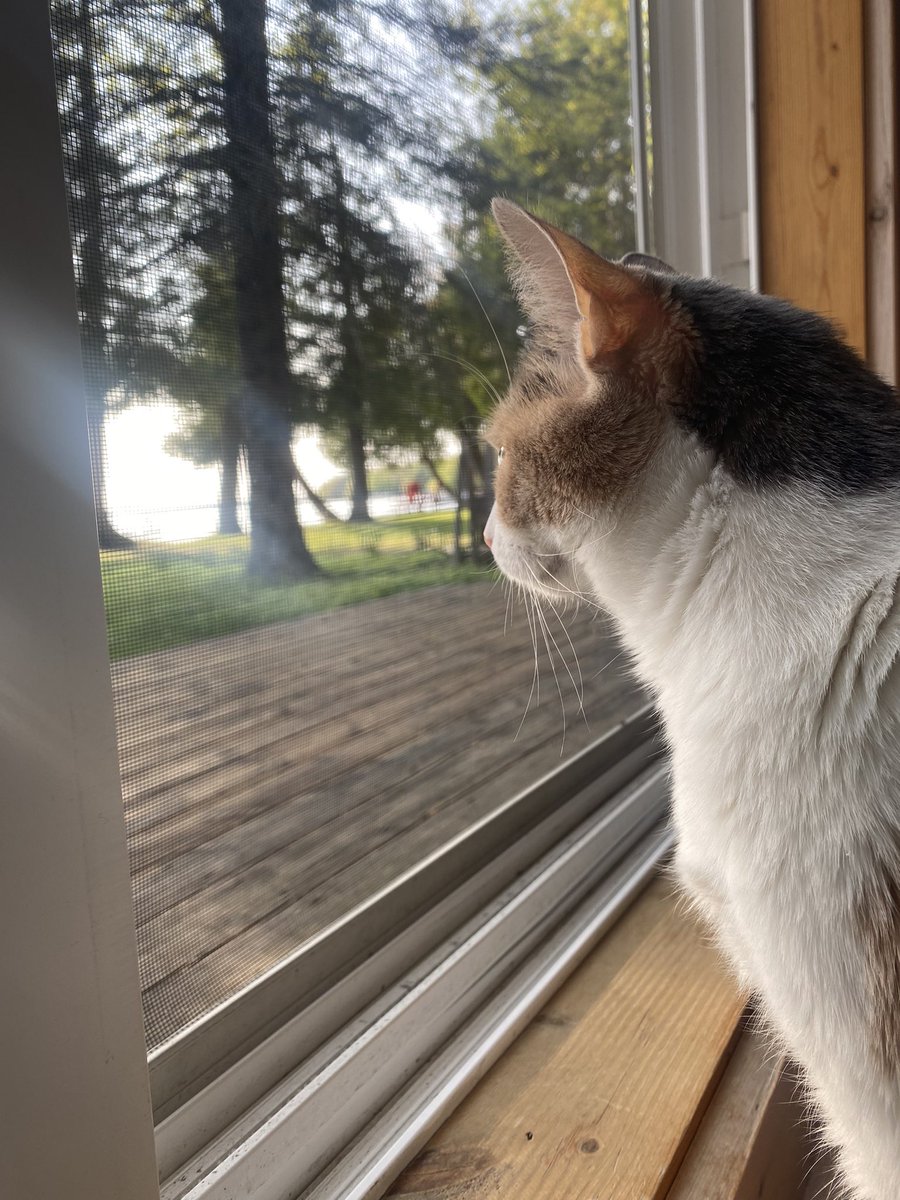 Melissa Smith tweet media