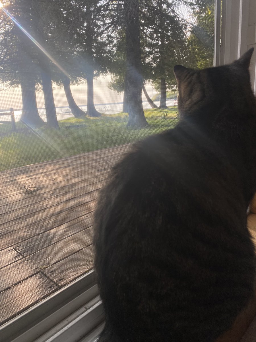 Melissa Smith tweet media