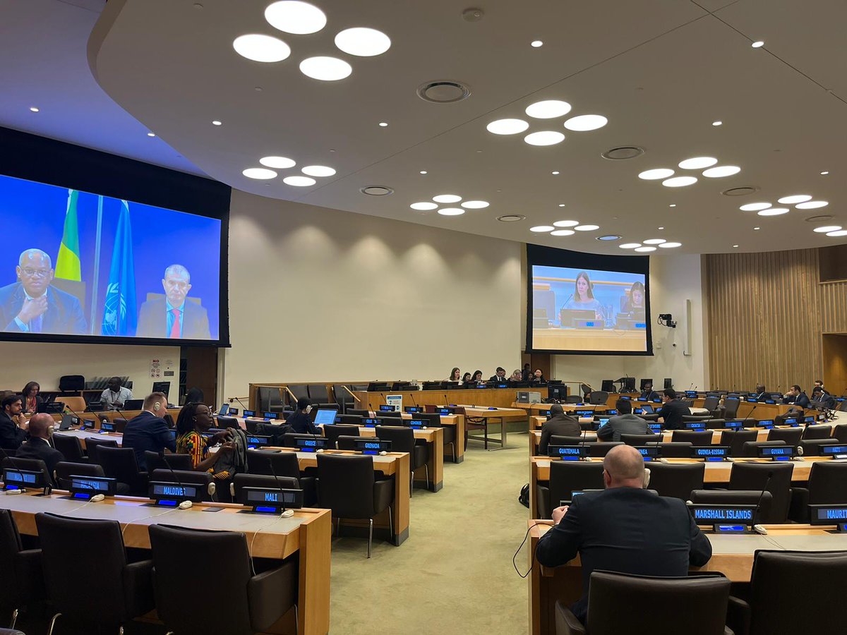 TiinaParviainen's tweet image. I have the honor to coordinate the budget negotiations for @UN_MINUSMA , the UN #peacekeeping mission in #Mali. Today, the #fifthcommittee started discussions on the 1 billion dollar budget proposal, expecting to finish by end of June.