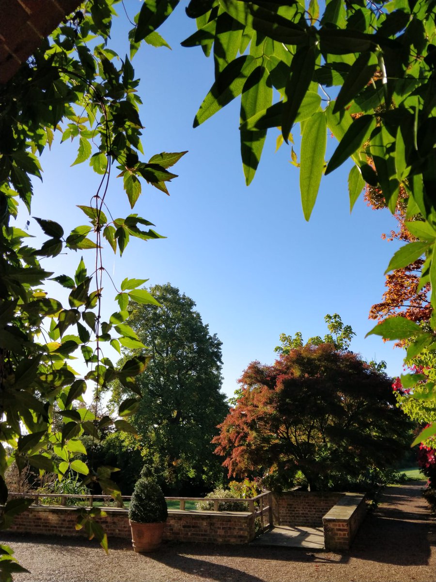 Standen NT tweet media