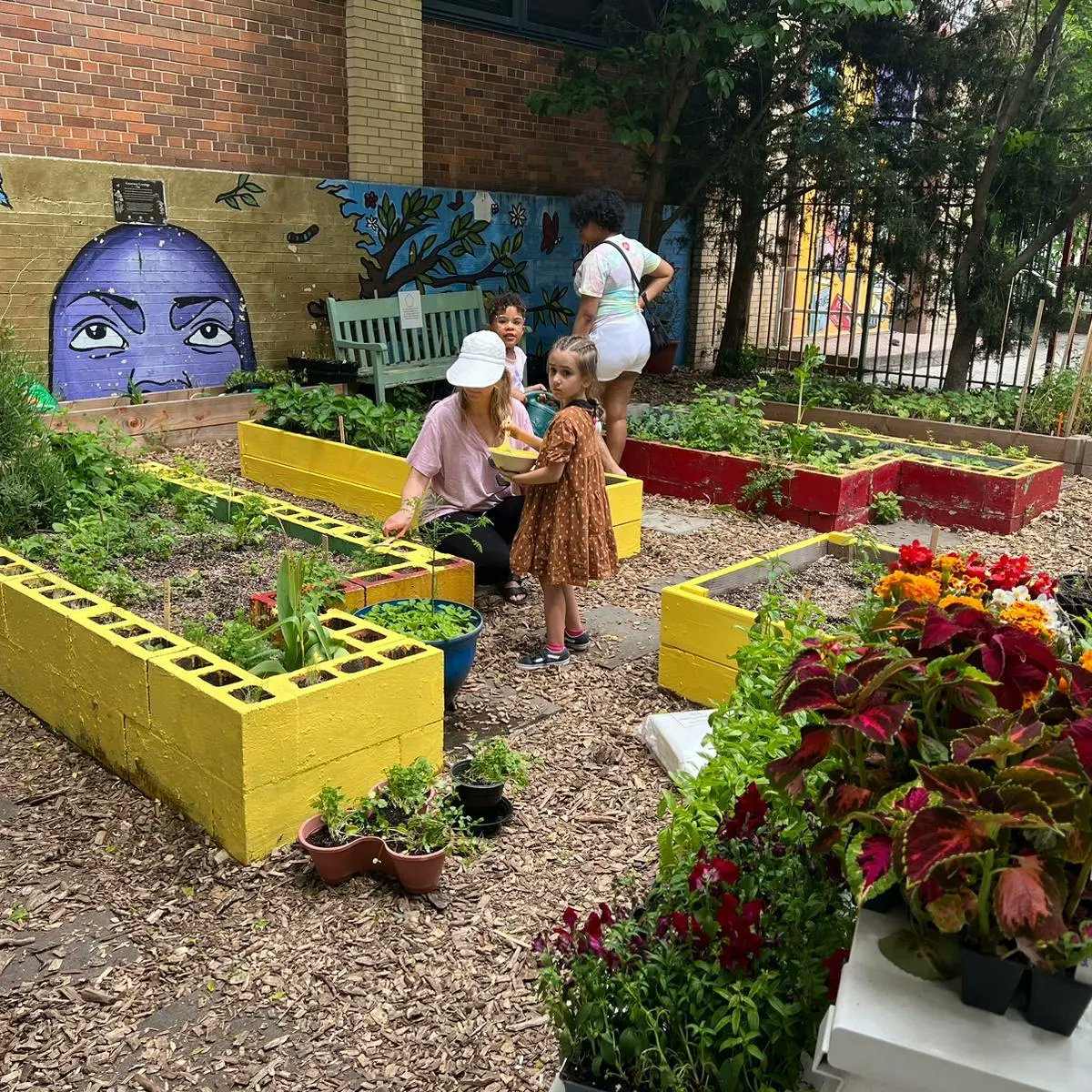 HeyBccs's tweet image. Outdoor learning in our BCCS Garden.... never a dull moment. 🙂 @CommunitySupt16 @D16LEADS @NequanMclean @ruxdanika @stefanizinerman @OsseChi @JabariBrisport
