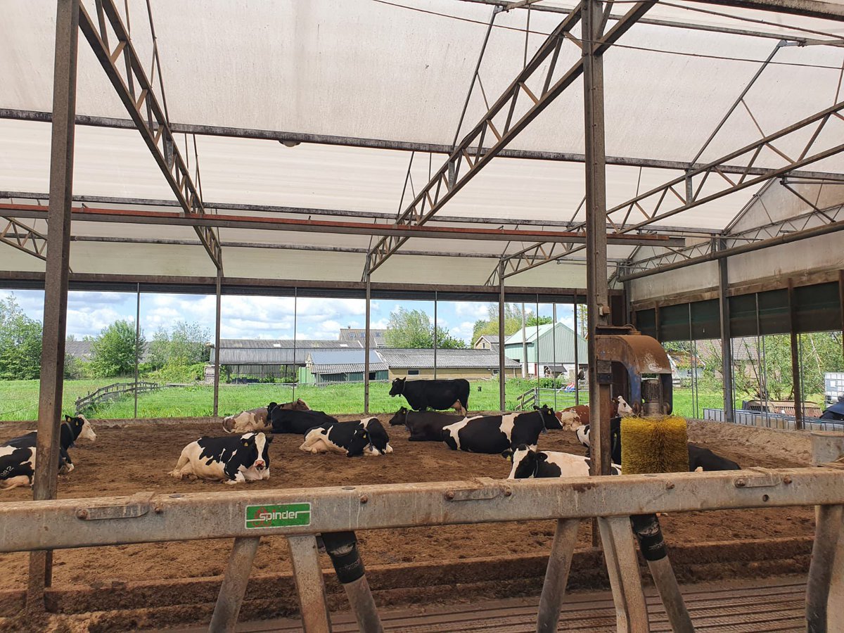 Bert-Jan Ruissen (SGP EP) tweet media