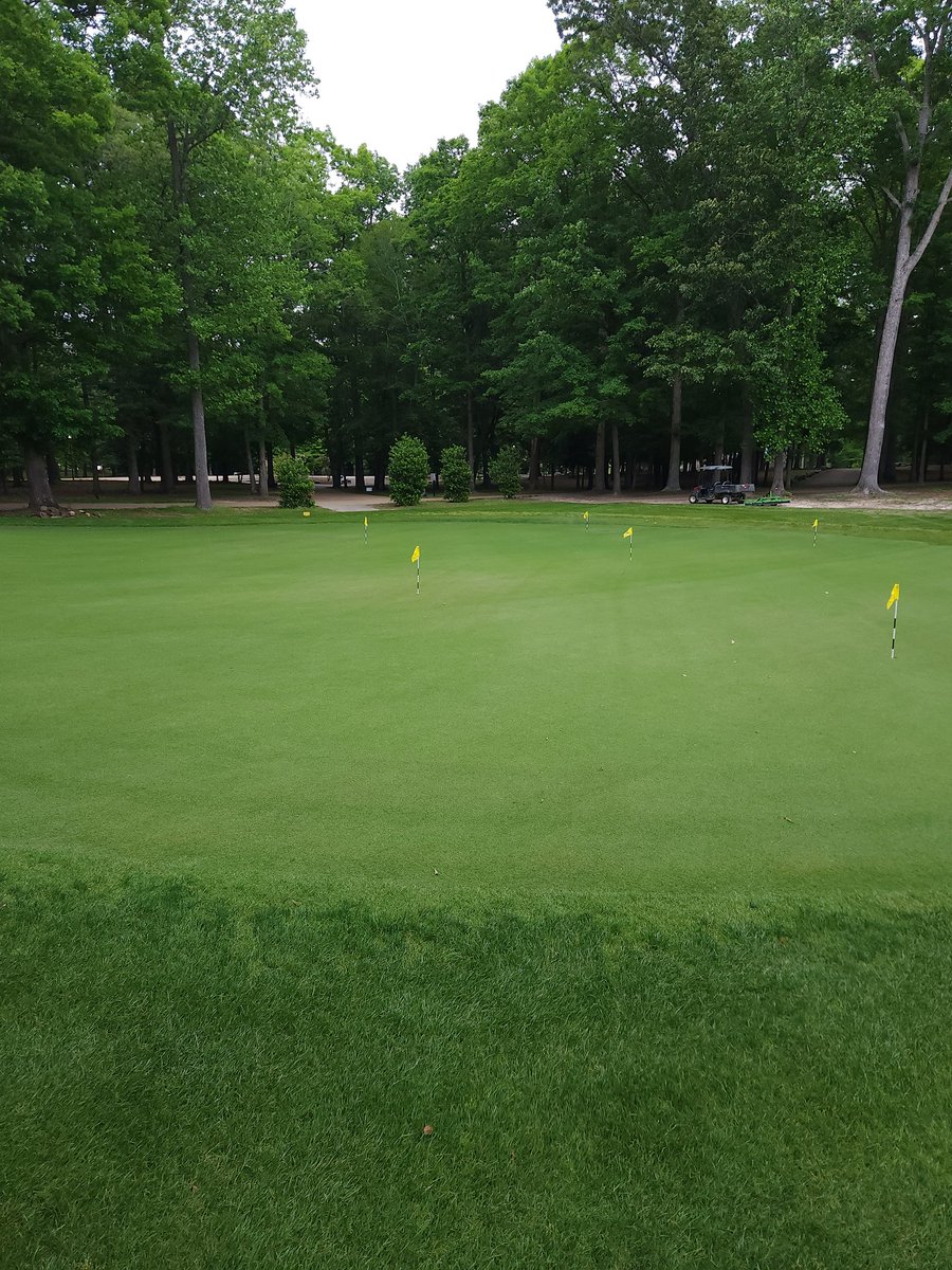 B_Heinz57's tweet photo. We were blessed with a cloudy and dry forecast overnight and this morning, allowing us the perfect window to perform our topdress program directly behind the mow and in front of play. #notstayinglatetoday #surfacemanagement #G12championbermudagrass https://t.co/W4er84pKzz