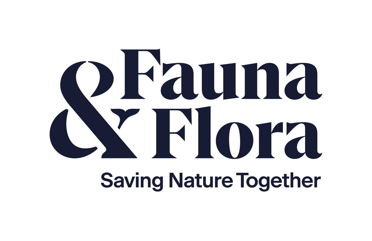 📣 Exciting update

You may notice a few changes about us today. Firstly, we’ve changed our name – you can call us Fauna &amp; Flora now. We’ve also updated our logo, what do you think?

What do these changes mean? ⬇️
