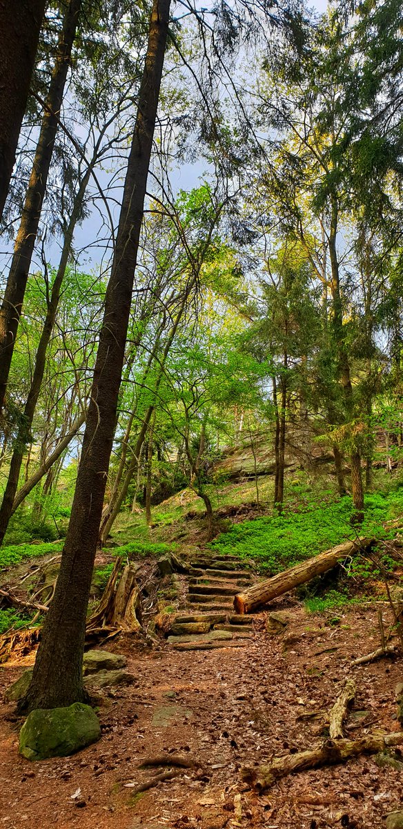 VeganBigBro's tweet image. On the way back.
#OutForAWalk #Göteborg #Gothenborg #SummersComing