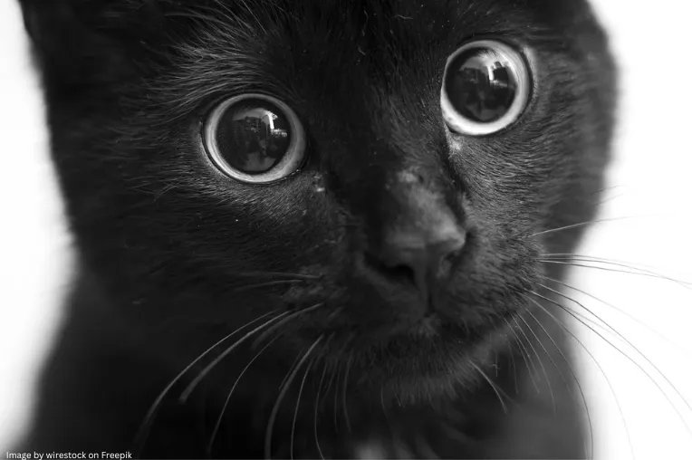H1 Connect (@h1connect) on Twitter photo Bacterial genetic origin in vertebrate eye evolution: <a href="/atnjoly/">Merchantoor</a> recommends this <a href="/ChinmayK98/">Chinmay Kalluraya</a> <a href="/Daugherty_Lab/">Matt Daugherty</a> study in <a href="/PNASNews/">PNASNews</a> that finds interphotoreceptor retinoid-binding protein was inherited by horizontal gene transfer into the vertebrate genome
facultyopinions.com/article/742604… Bacterial genetic origin in vertebrate eye evolution: <a href="/atnjoly/">Merchantoor</a> recommends this <a href="/ChinmayK98/">Chinmay Kalluraya</a> <a href="/Daugherty_Lab/">Matt Daugherty</a> study in <a href="/PNASNews/">PNASNews</a> that finds interphotoreceptor retinoid-binding protein was inherited by horizontal gene transfer into the vertebrate genome
facultyopinions.com/article/742604…