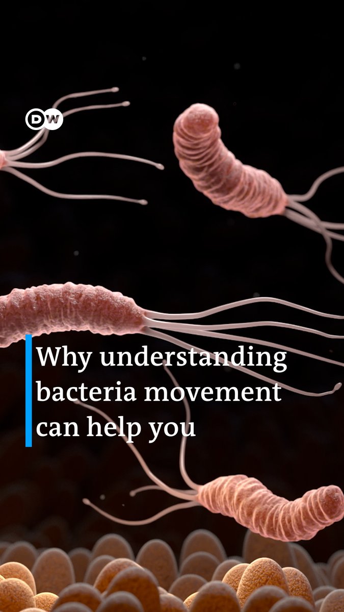 DW Science on Twitter "🎞️ Why understanding bacteria movement can help