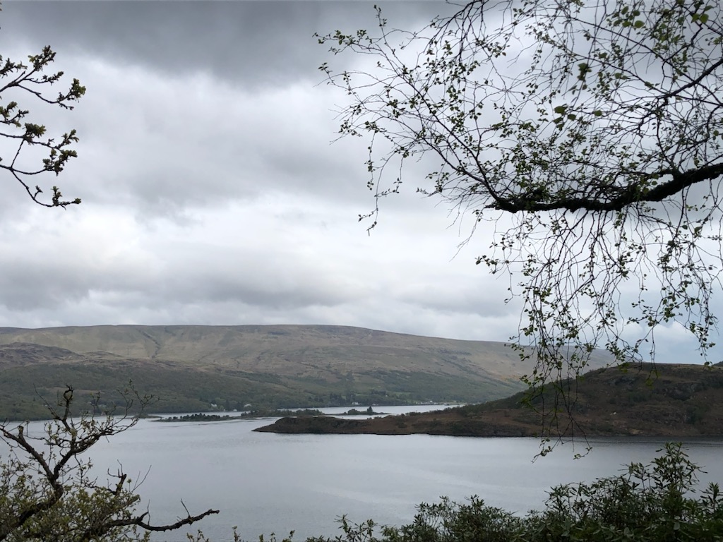 Its Mental Health awareness week this week, and our team have been having conversations about what helps us: one team member likes to get out into nature which helps alleviate feelings of being overwhelmed or anxious.