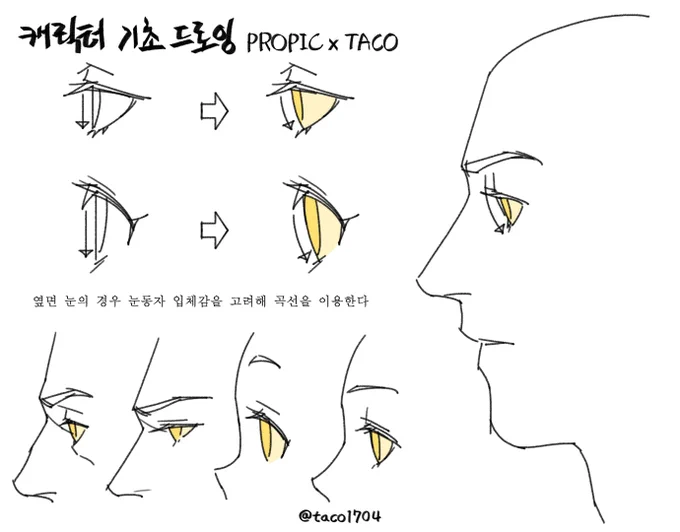 옆면 눈의 경우 눈동자 입체감을 고려해 곡선을 이용한다