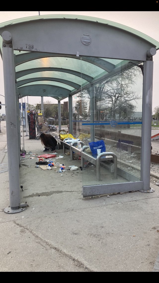 HQnrose's tweet photo. Polo Park bus stop in front of A&amp;W https://t.co/Msu3VZ6JgQ